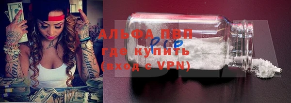 гашик Алексин