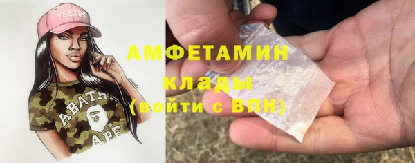 твердый Абаза