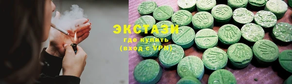 гашик Алексин
