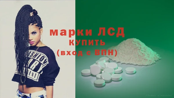 гашик Алексин