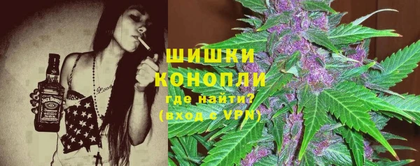 индика Алзамай