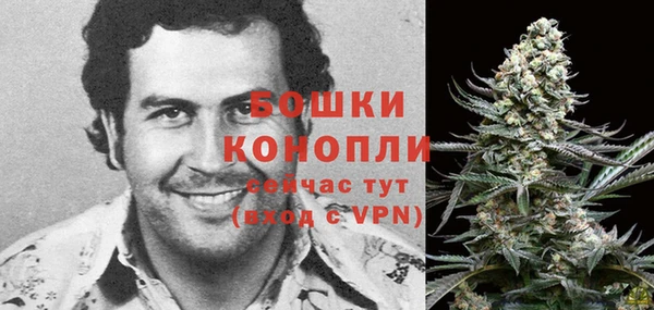 твердый Абаза