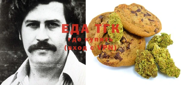 гашик Алексин
